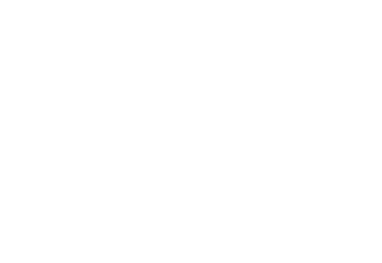 Shahin Novrasli Festival